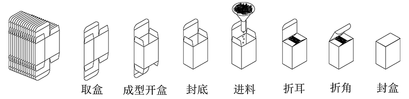 利悅自動數數立式裝盒機包裝流程示意圖