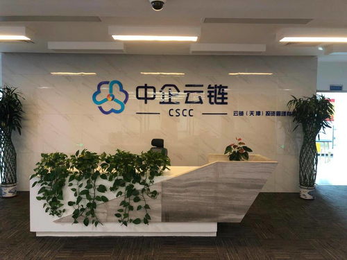 中企云鏈 安心扎根，舒心發(fā)展，創(chuàng)新金融科技服務(wù)與信息技術(shù)咨詢