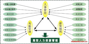 RFID設備全解析 電子標簽、讀寫器及性能參數與市場報價